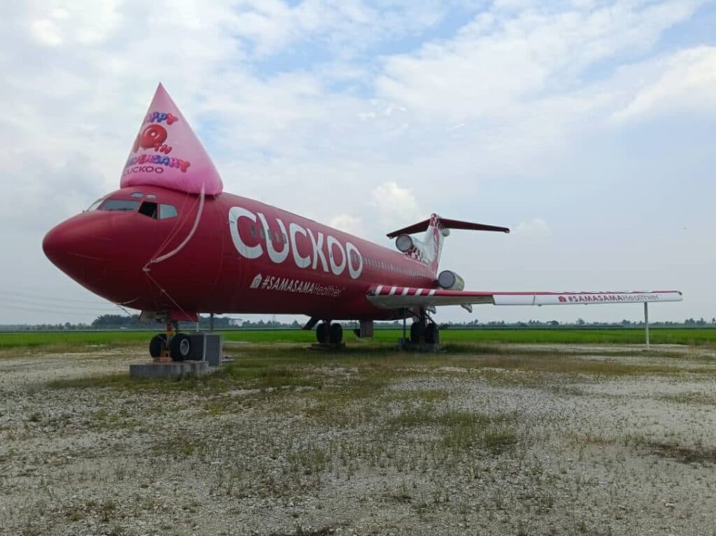 CUCKOO Party Hat Inflatable on a plane — photo 3