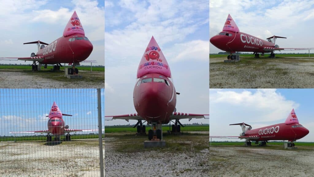 CUCKOO Party Hat Inflatable on a plane — photo 5