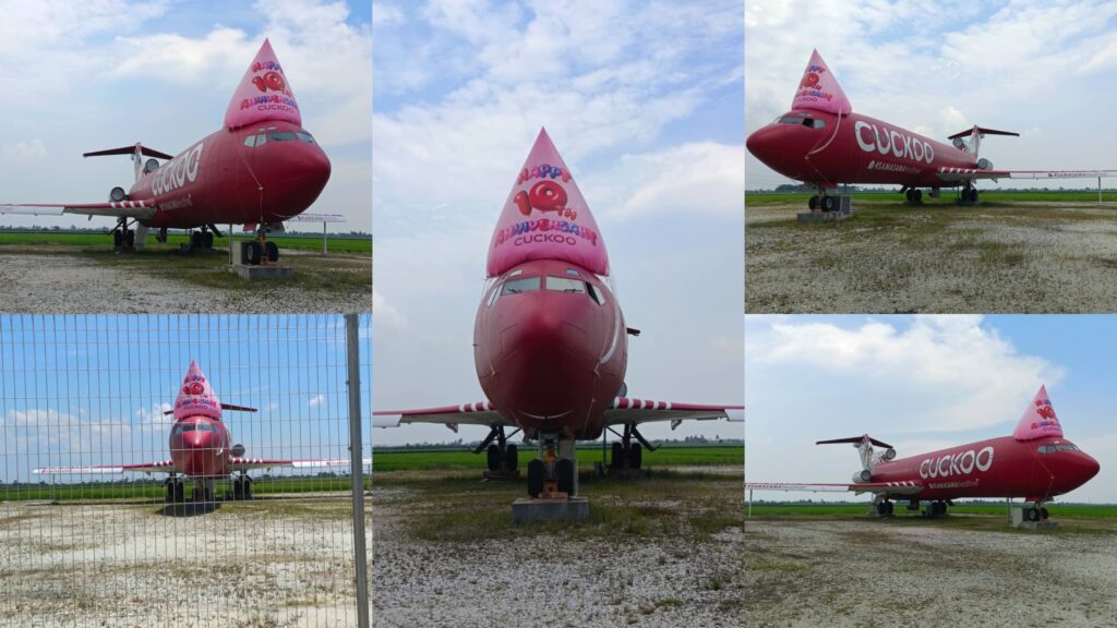 CUCKOO Party Hat Inflatable on a plane — photo 5