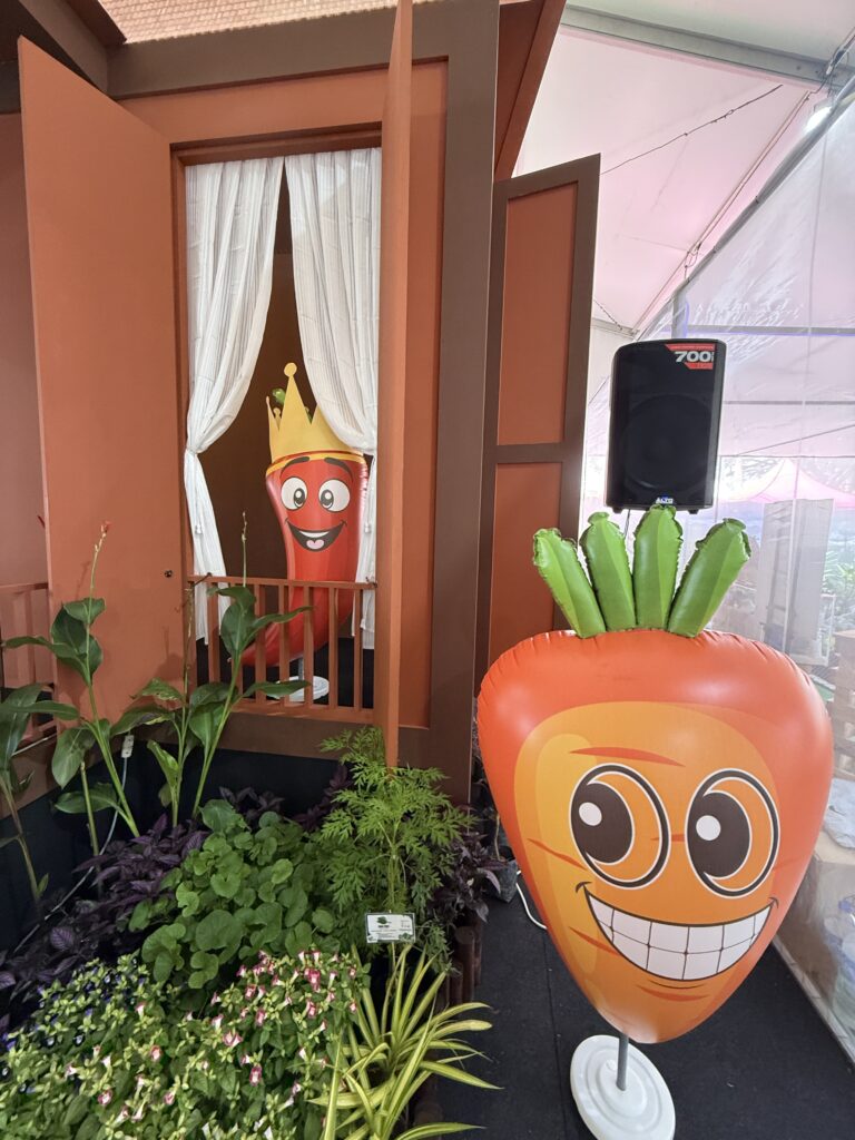 Replika Inflatable Sayur-sayuran di NS Fest 2025 di Nilai, Negeri Sembilan — photo 6