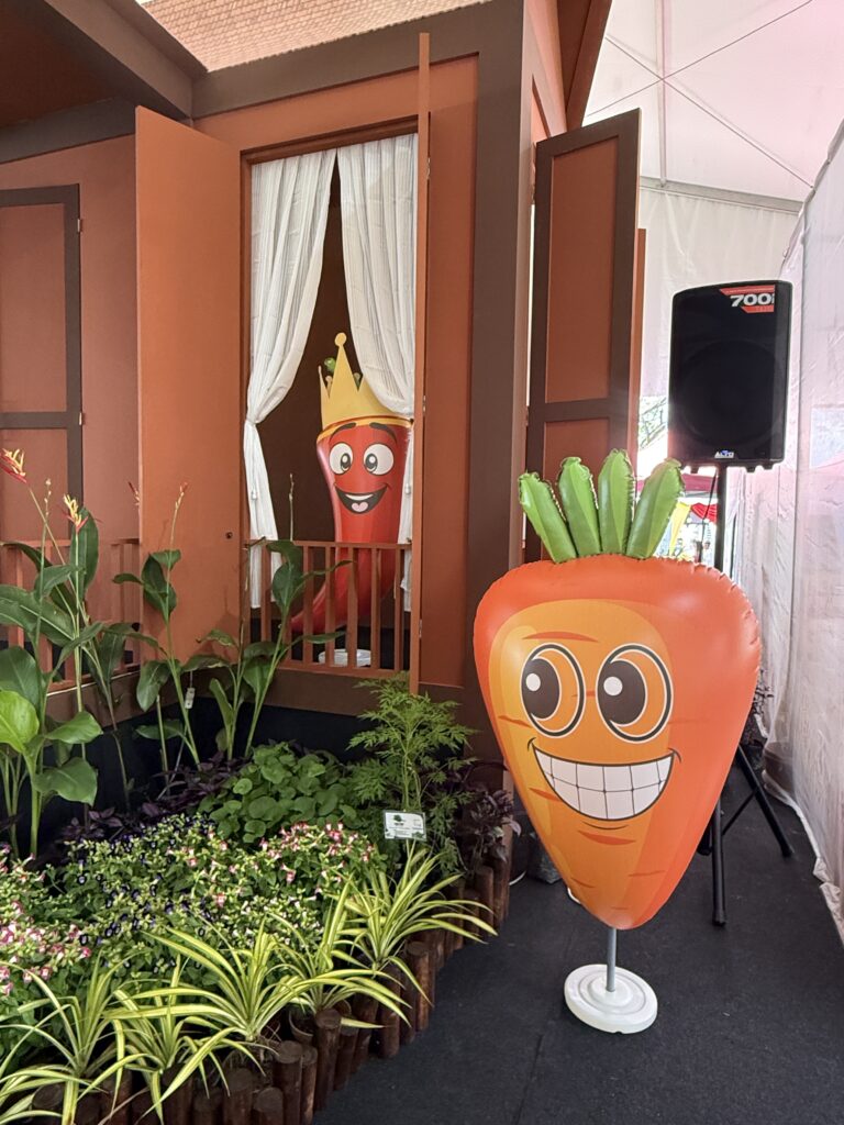Replika Inflatable Sayur-sayuran di NS Fest 2025 di Nilai, Negeri Sembilan — photo 9