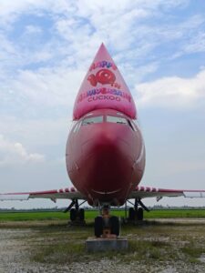 Cuckoo Inflatable Hat Replica on a plane Cuckoo Inflatable Hat Replica on a plane