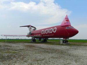 Cuckoo Inflatable Hat Replica on a plane Cuckoo Inflatable Hat Replica on a plane