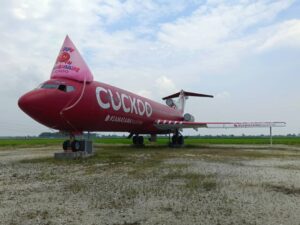 Cuckoo Inflatable Hat Replica on a plane Cuckoo Inflatable Hat Replica on a plane