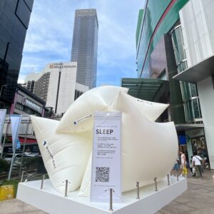 Giant Pillow Inflatable Replica