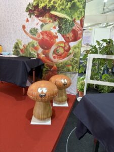 Vegetable Inflatable Replica at NS Fest 2025 in Nilai, Negeri Sembilan