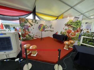 Vegetable Inflatable Replica at NS Fest 2025 in Nilai, Negeri Sembilan