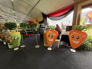 Vegetable Inflatable Replica at NS Fest 2025 in Nilai, Negeri Sembilan